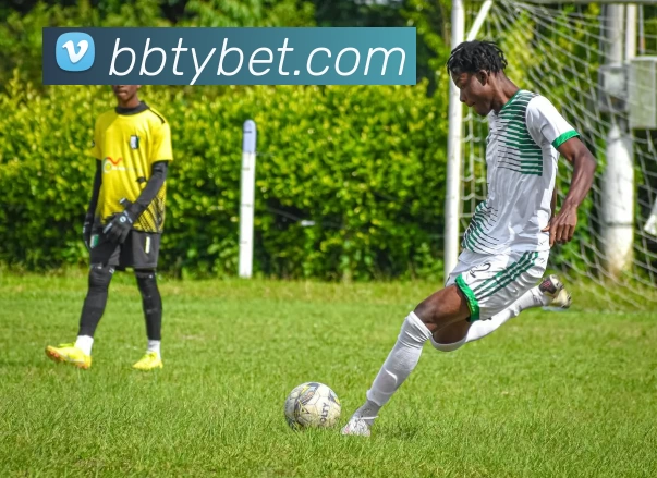 百博体育官网平台生态图